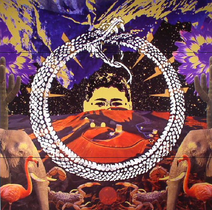 Stone House On Fire – Neverending Cycle vinyl cover