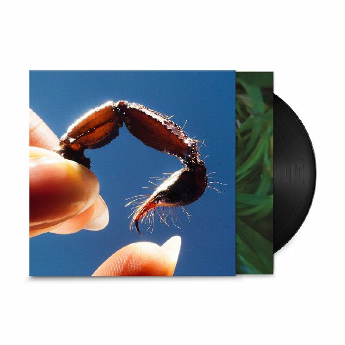 Squid – Cowards vinyl cover