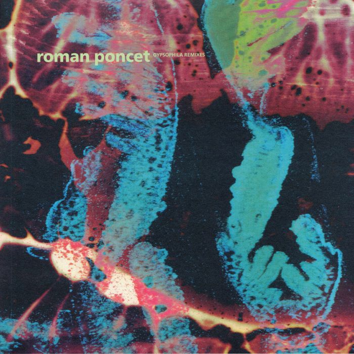 Roman Poncet Gypsophila Remixes