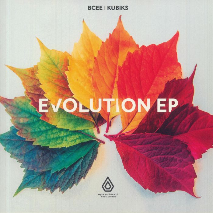 Bcee | Kubiks Evolution EP