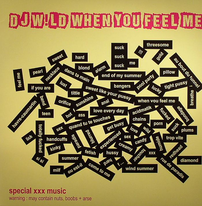 DJ Wild – When You Feel Me EP vinyl cover