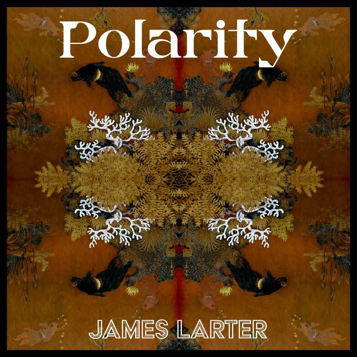 James Larter Polarity