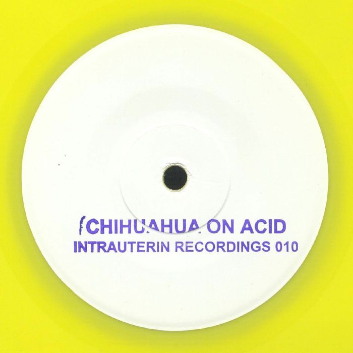 Chihuahua On Acid Chihuahua On Acid