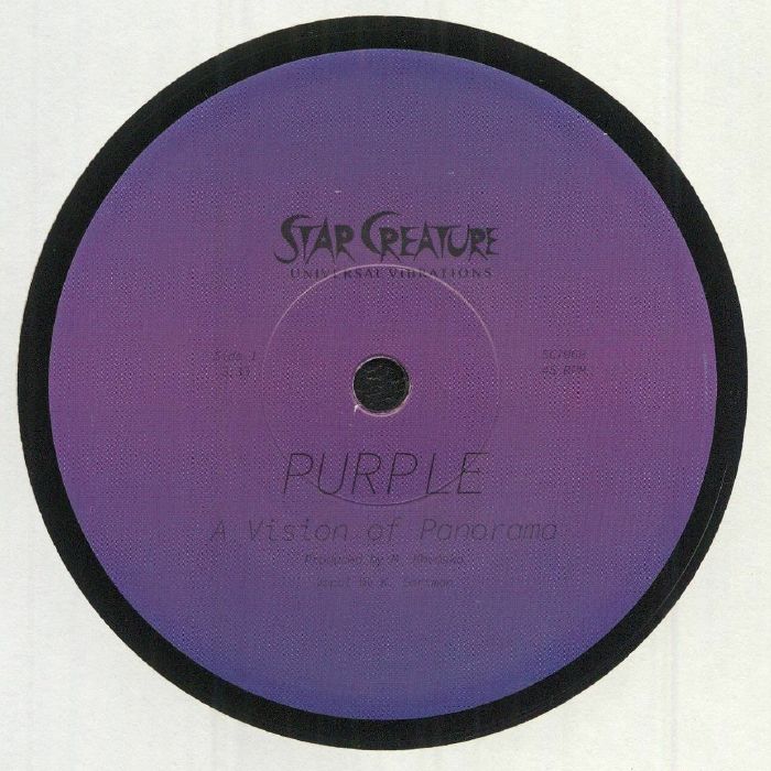 A Vision Of Panorama – Purple vinyl cover
