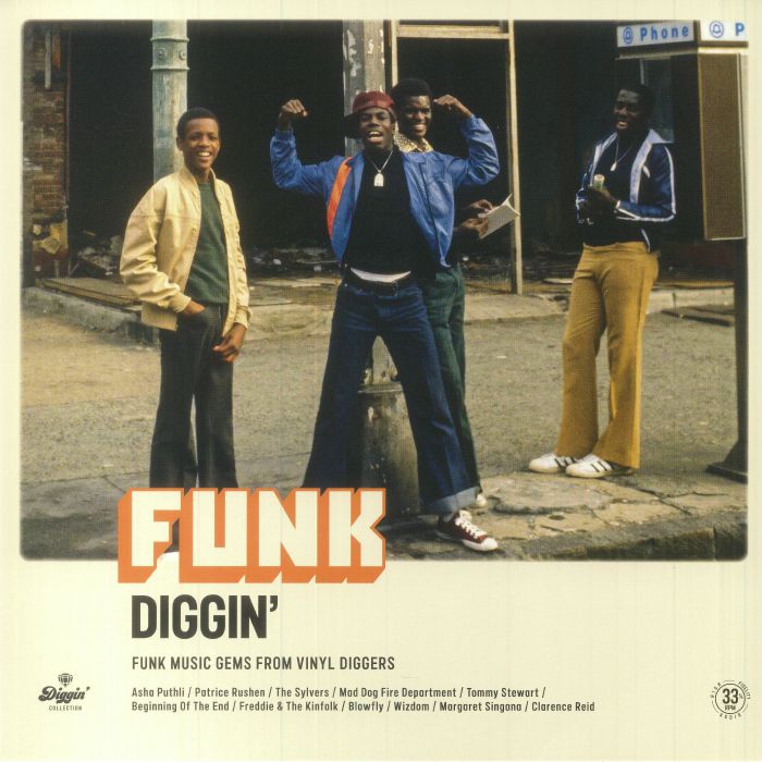 Various Artists Funk Diggin