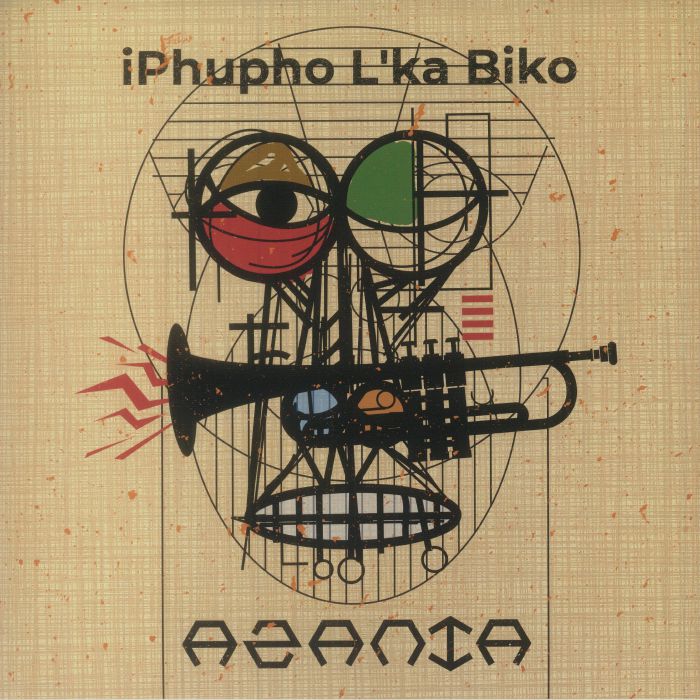 Iphupho Lka Biko Vinyl