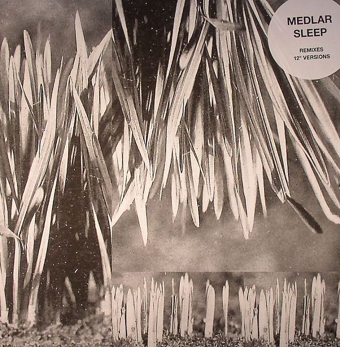 Medlar Sleep: Remixes and 12 Versions
