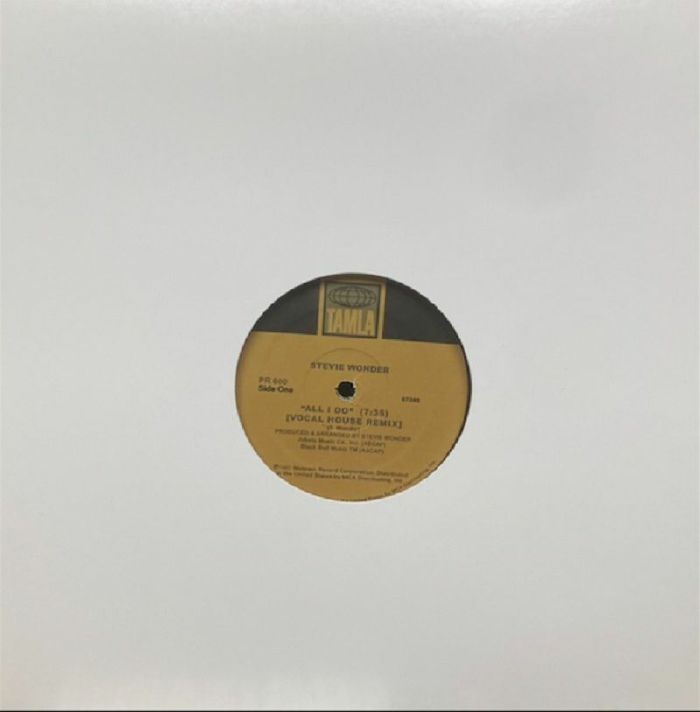 Stevie Wonder All I Do (House Remixes)