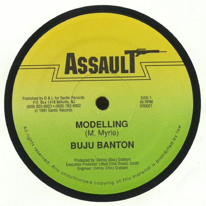 Assault Vinyl