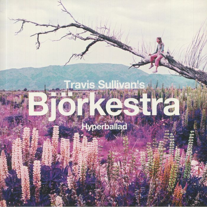 Travis Sullivans Bjorkestra Vinyl