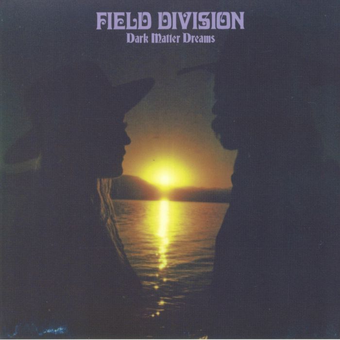 Field Division Dark Matter Dreams
