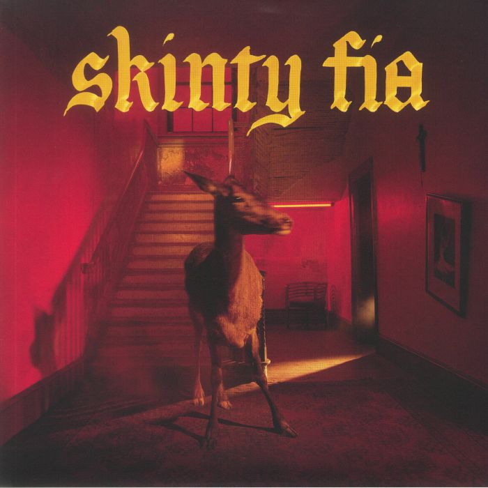 Fontaines Dc – Skinty Fia vinyl cover