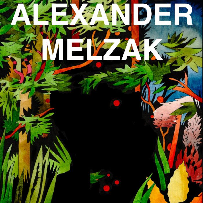 Alexander Melzak Substrates