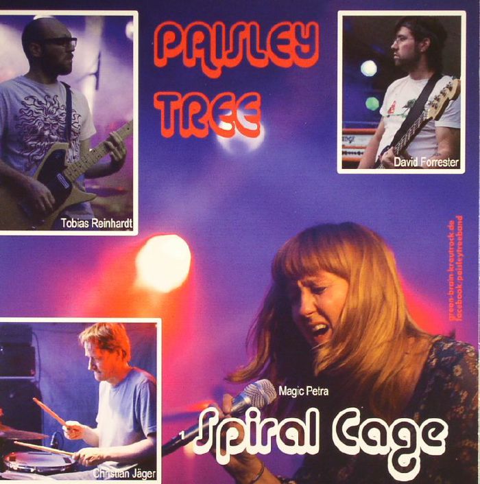 Paisley Tree | Space Debris Spiral Cage