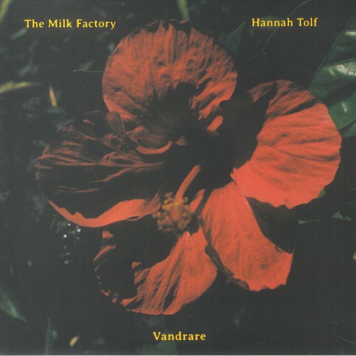Hannah Tolf Vinyl
