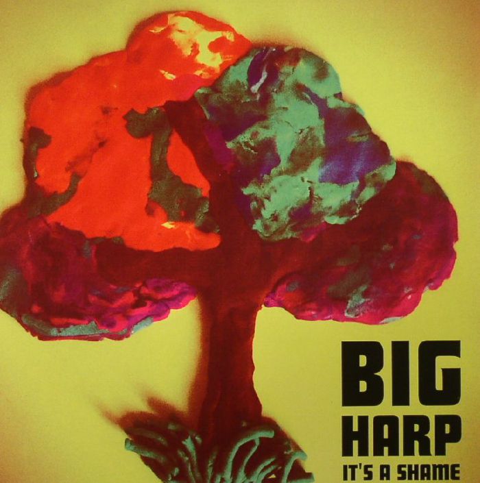 Big Harp Its A Shame