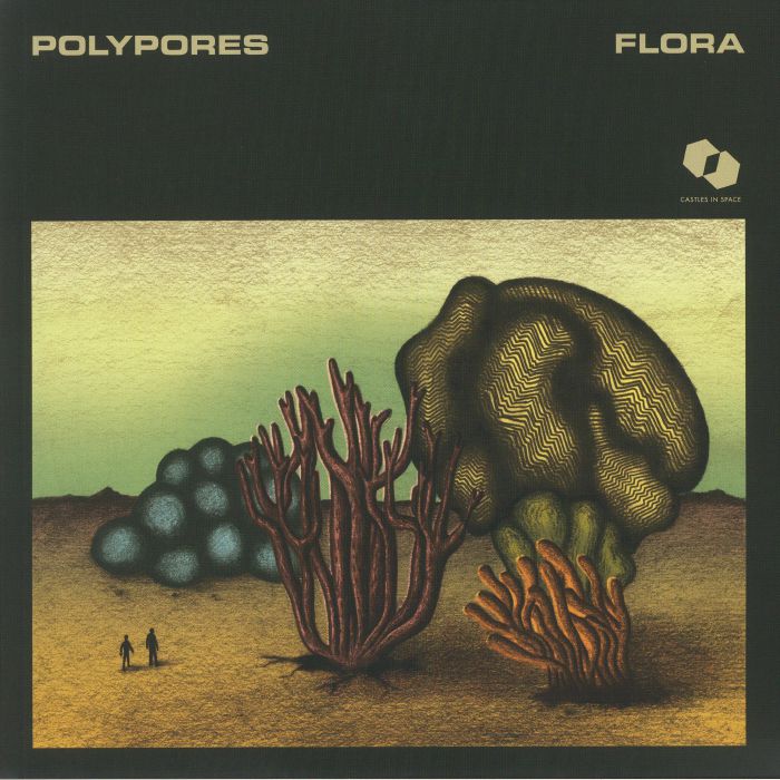 Polypores Flora