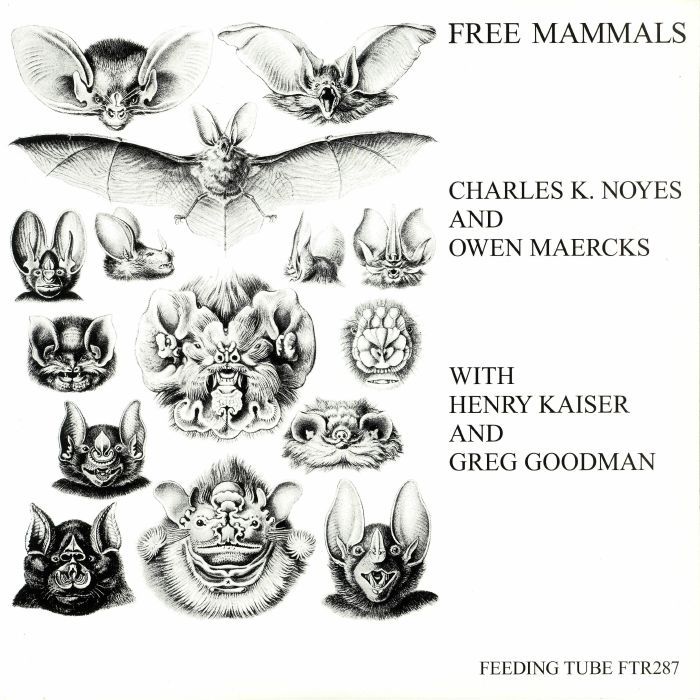Charles K Noyes | Owen Maercks | Henry Kaiser | Greg Goodman Free Mammals