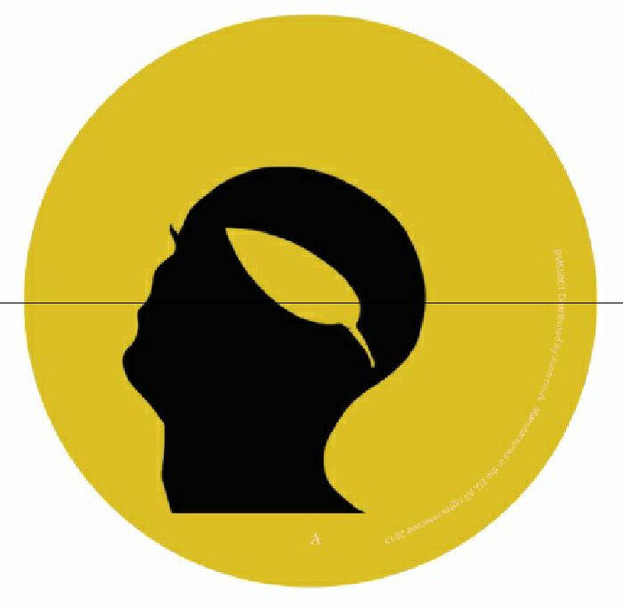 Unknown – Botanic Minds Sunset Series vinyl cover