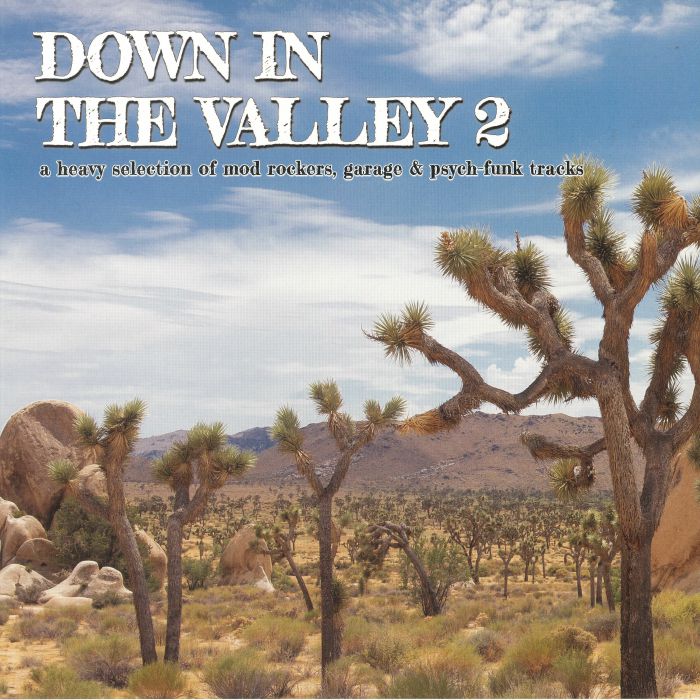 Various Artists Down In The Valley 2