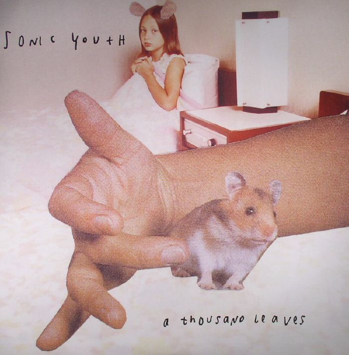 Sonic Youth A Thousand Leaves (reissue)