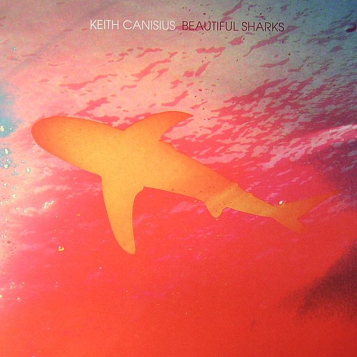 Keith Canisius Beautiful Sharks
