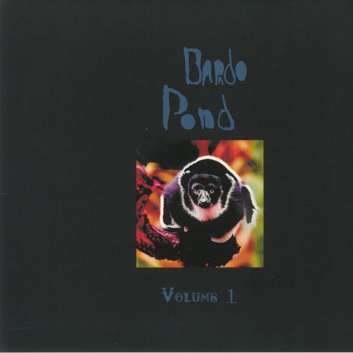 Bardo Pond Volume 1 (Record Store Day 2021)
