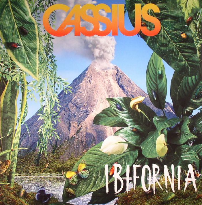 Cassius Ibifornia
