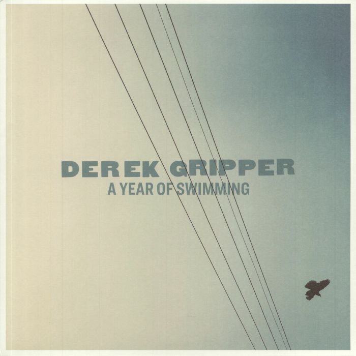 Derek Gripper A Year Of Swimming