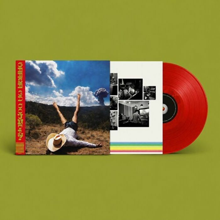 Geese – 3D Country vinyl cover