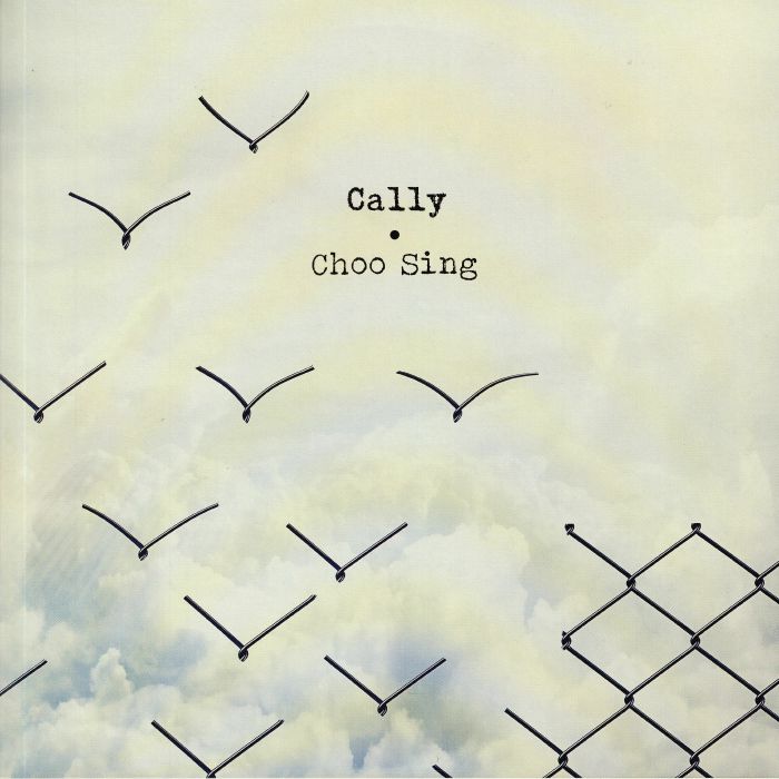 Cally Choo Sing