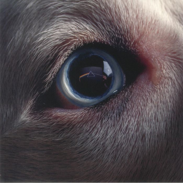 Roger Waters – The Dark Side Of The Moon Redux vinyl cover