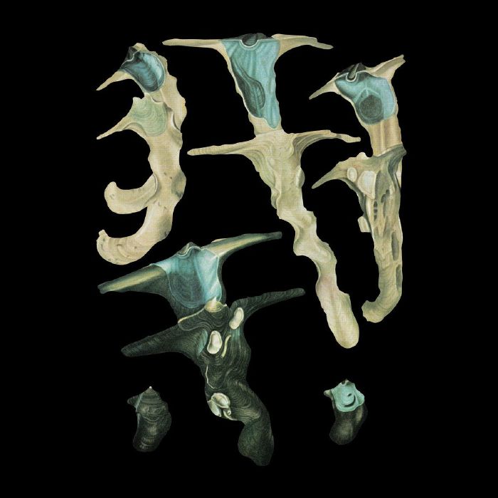 Rainforest Spiritual Enslavement – Jellyfish Reproduce Black Magic vinyl cover