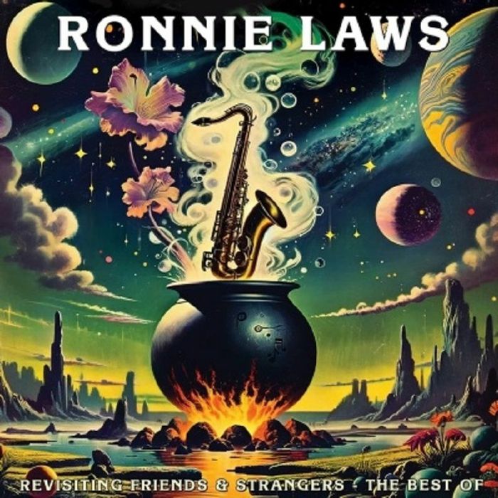 Ronnie Laws – Revisiting Friends and Strangers: The Best Of vinyl cover
