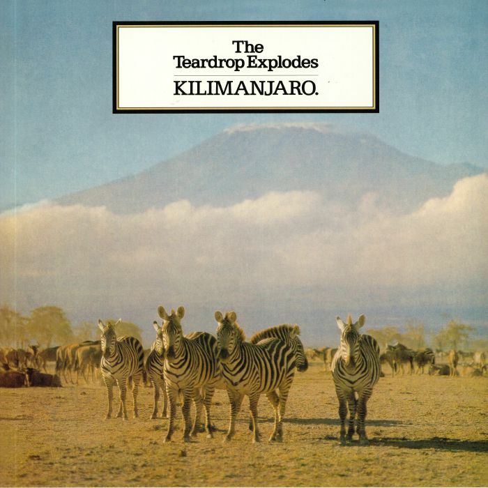 The Teardrop Explodes Kilimanjaro