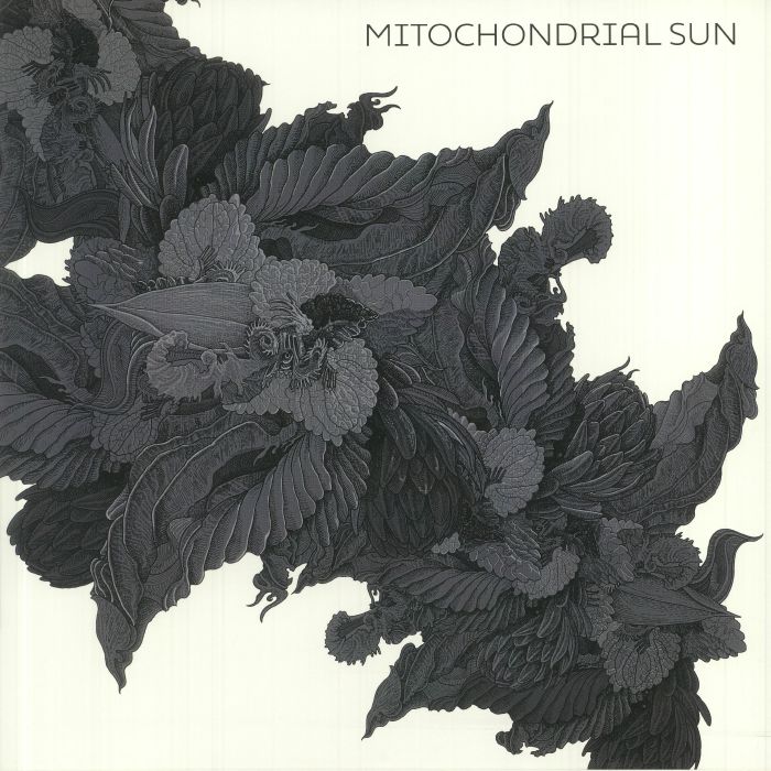 Mitochondrial Sun Mitochondrial Sun
