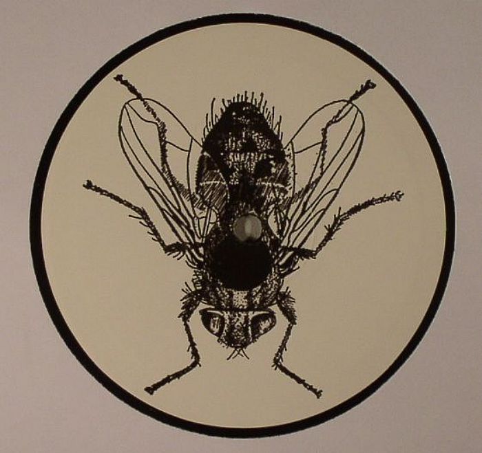 Flies and Flies Bad Crab Hand