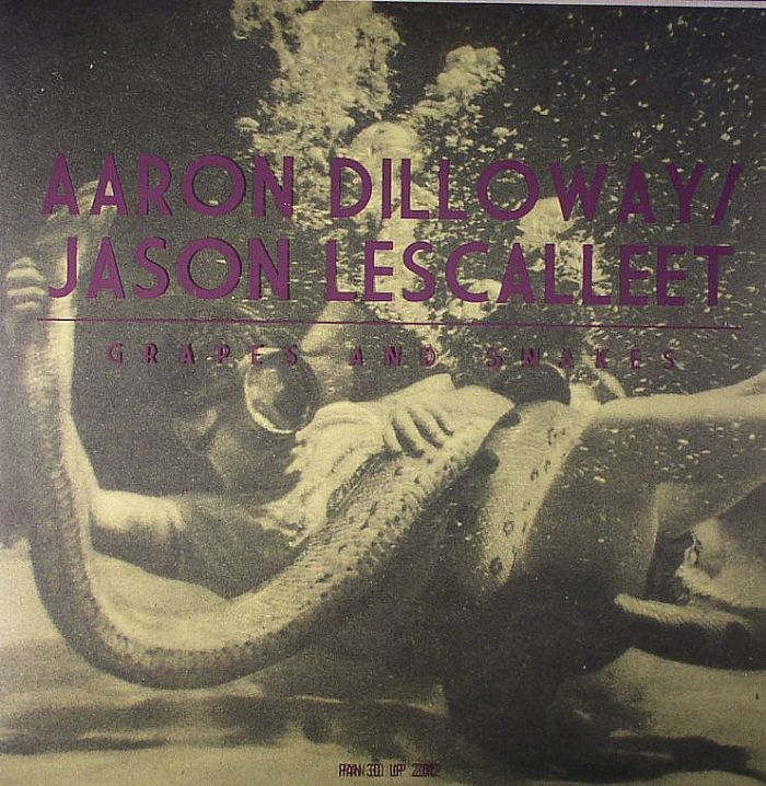 Aaron Dilloway | Jason Lescalleet – Grapes and Snakes vinyl cover