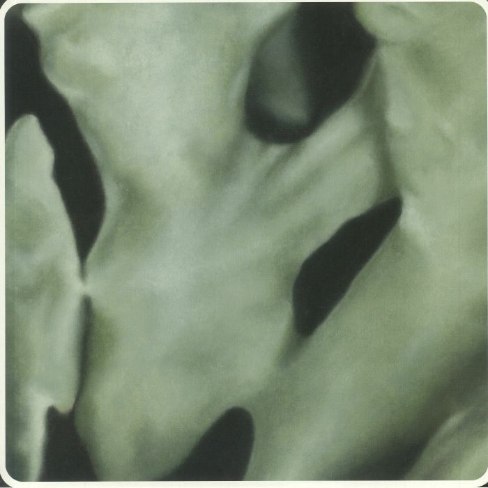 Feral – Woodland vinyl cover