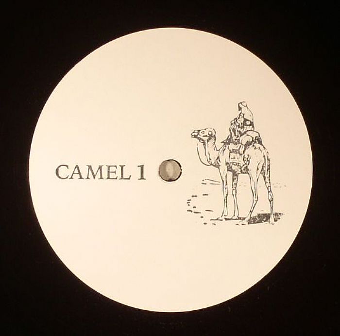 Unknown Camel 1