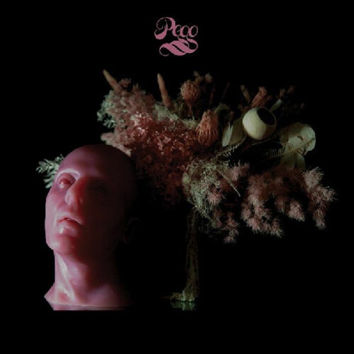 Pegg – Pegg vinyl cover