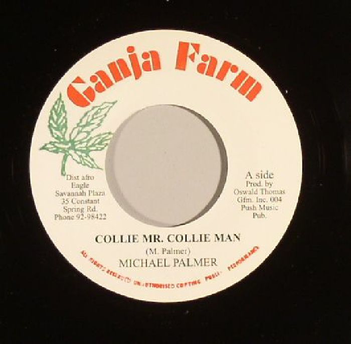 Michael Palmer | Scientist Collie Mr Collie Man