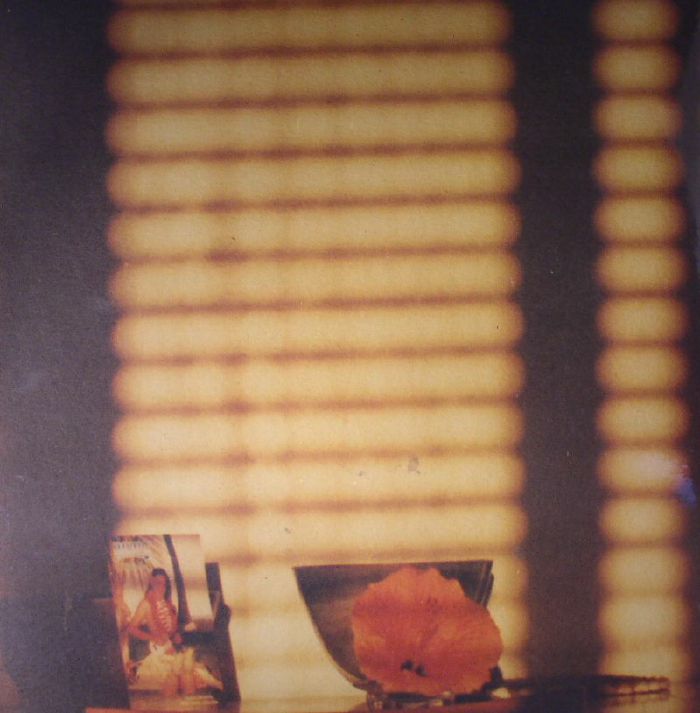 Mike Cooper – Light On A Wall vinyl cover
