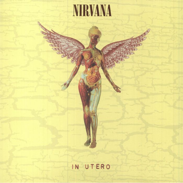 Nirvana – In Utero (30th Anniversary Edition) vinyl cover