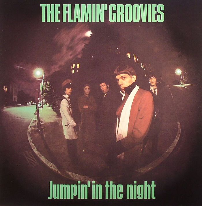 Flamin Groovies Jumpin In The Night