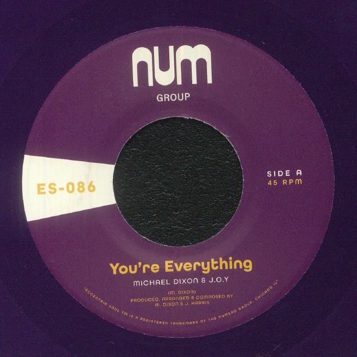 Michael Dixon and Joy – Youre Everything vinyl cover