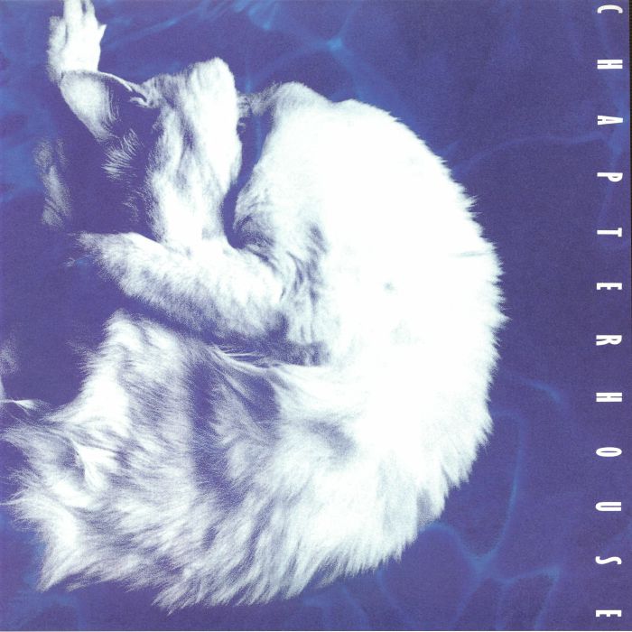 Chapterhouse – Whirlpool vinyl cover
