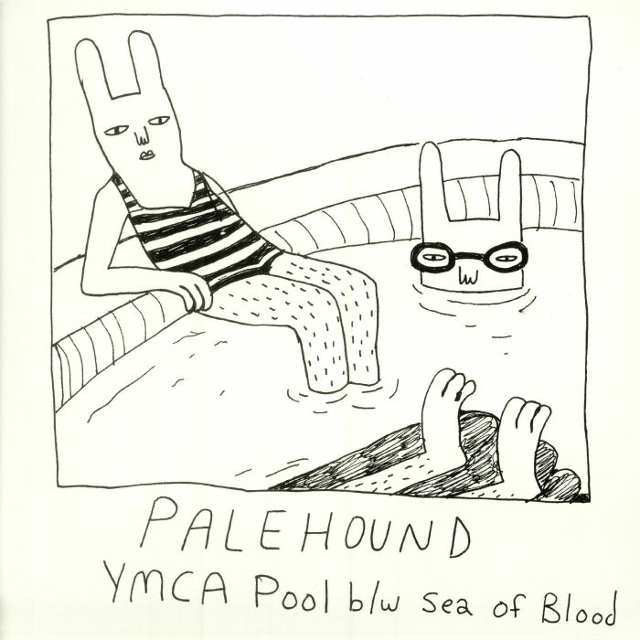 Palehound YMCA Pool