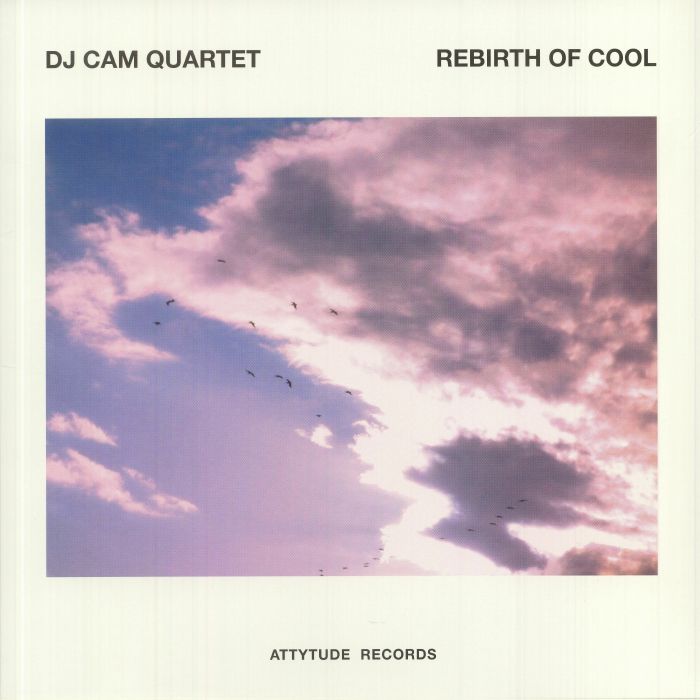 Dj Cam Quartet Vinyl