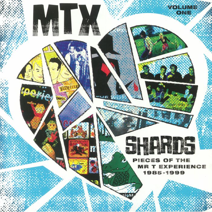 Mr T Experience Shards: Pieces Of The Mr T Experience Volume One
